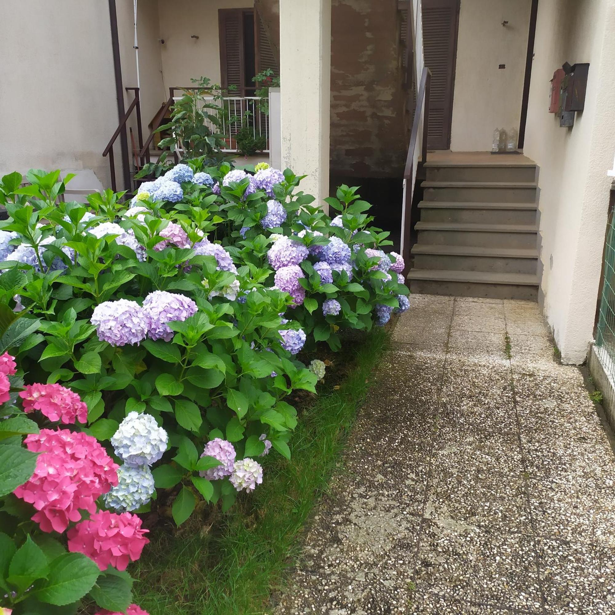 Apartment Santa Maria Bolsena Exteriér fotografie